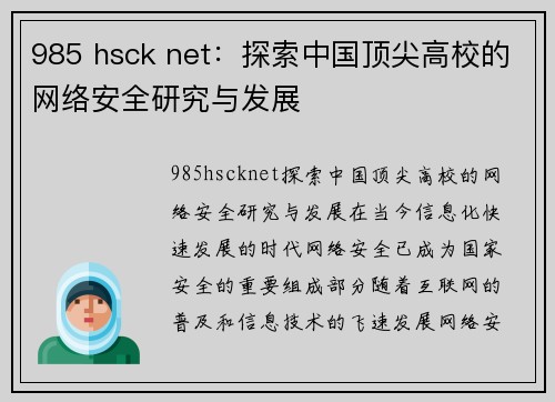 985 hsck net：探索中国顶尖高校的网络安全研究与发展