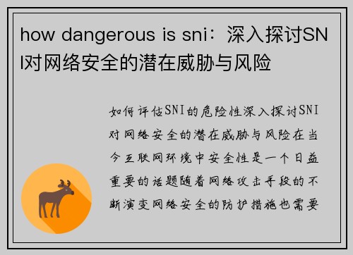 how dangerous is sni：深入探讨SNI对网络安全的潜在威胁与风险